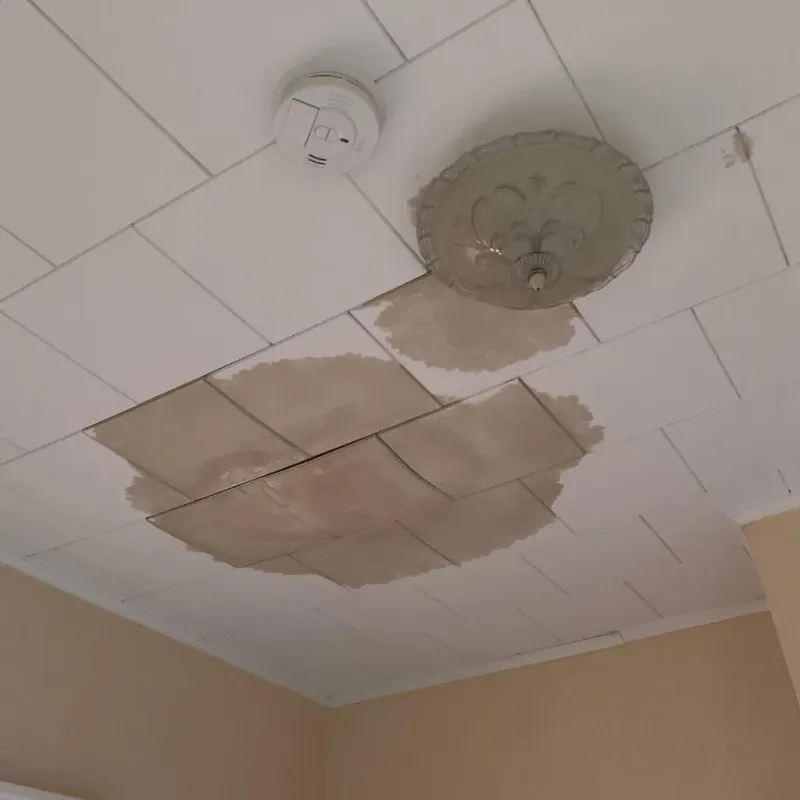 Ceiling Water Damage Repair in Junction City, KS